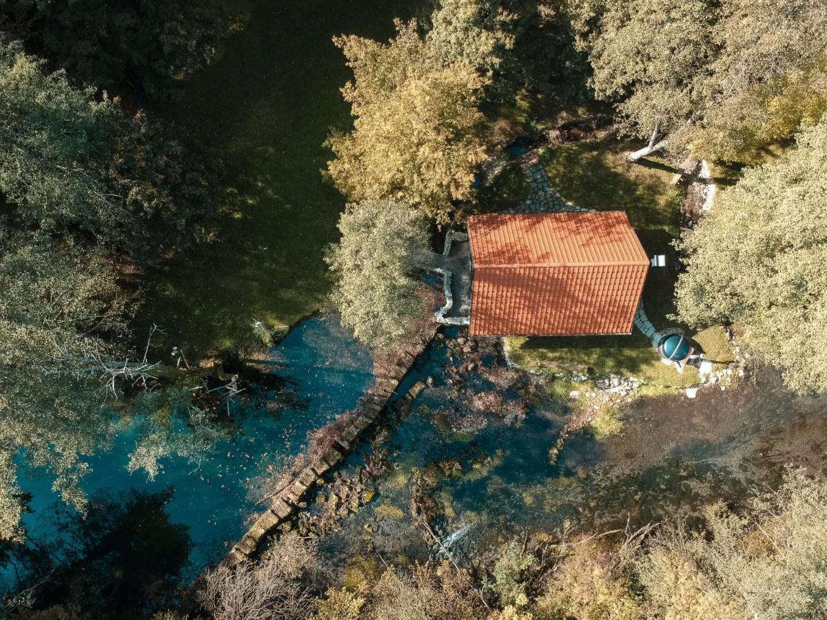 Villa Bistrica *