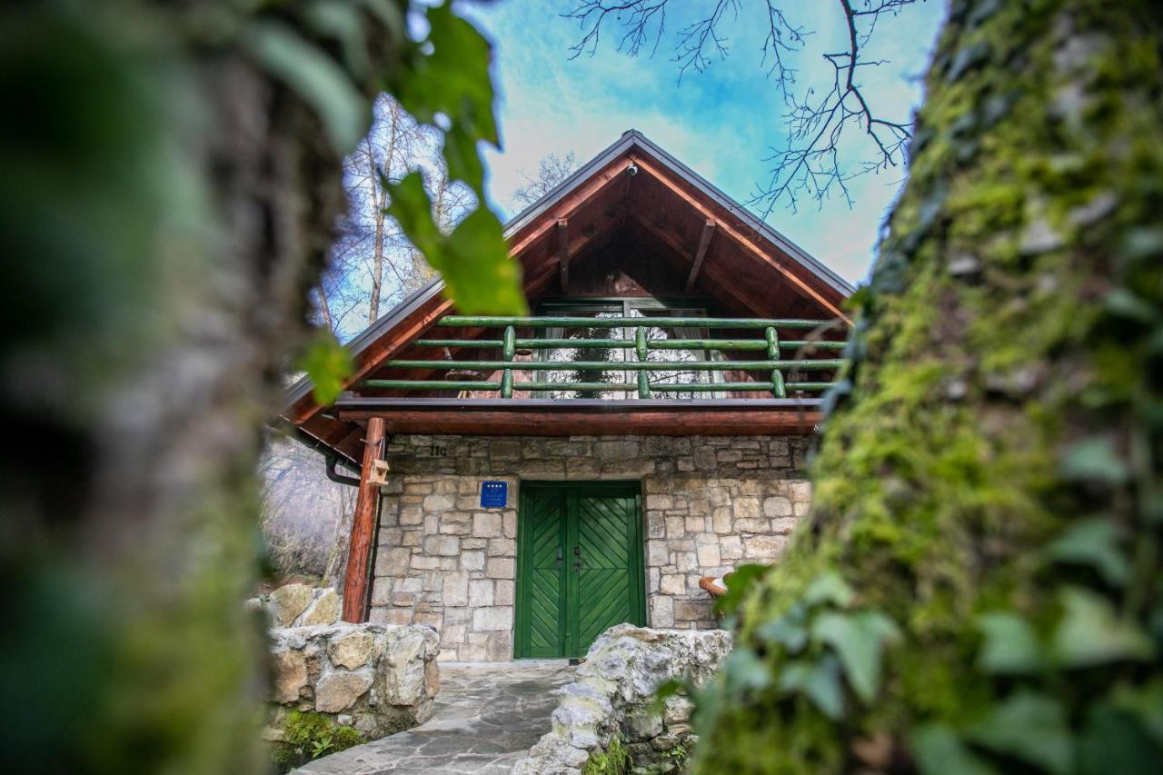 Villa Bistrica Gornje Dubrave